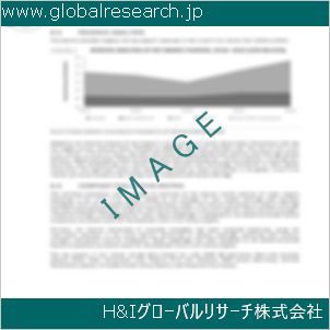 グローバルリサーチ調査資料のイメージ